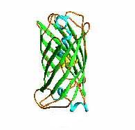 typical amino acid protein chain