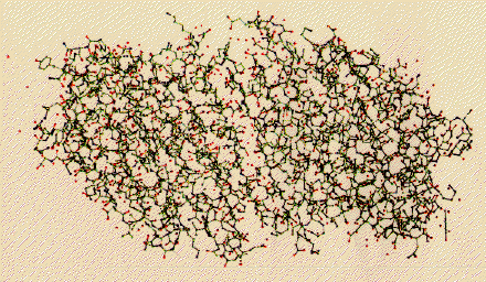 complex protein arrangement